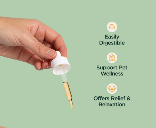 600mg CBD Pet Wellness Tincture (0% THC*)